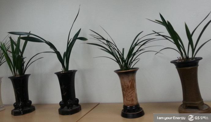 난 키우는 관리 방법과 동양난의 종류! 1 난 키우는 관리 방법과 동양난의 종류! | life energy types of oriental orchids 난21