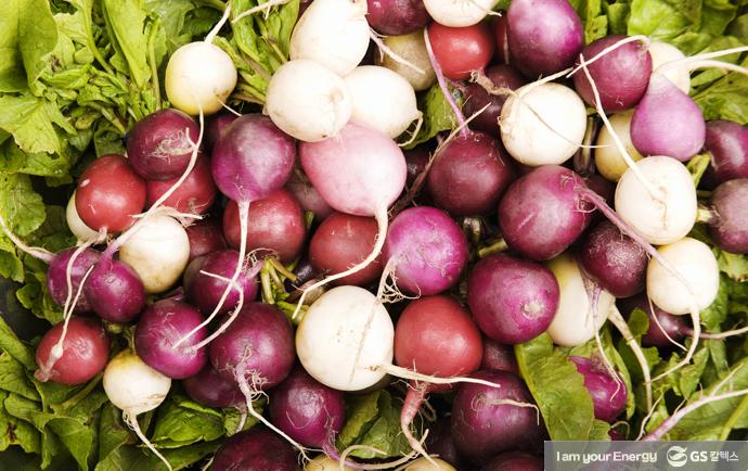 초간단 무 요리 레시피! – 무로 만든 요리 Best 4 !! 2 초간단 무 요리 레시피! – 무로 만든 요리 Best 4 !! | 1 copy3