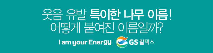 이 나무는 먼나무? 특이한 나무 이름 유래까지 쏙쏙! 2 이 나무는 먼나무? 특이한 나무 이름 유래까지 쏙쏙! | banner01 1
