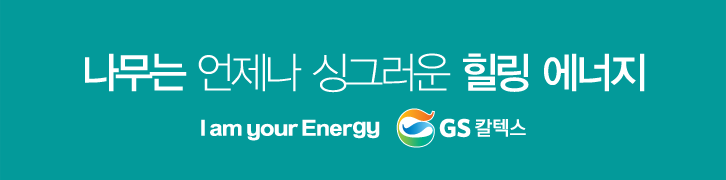 이 나무는 먼나무? 특이한 나무 이름 유래까지 쏙쏙! 7 이 나무는 먼나무? 특이한 나무 이름 유래까지 쏙쏙! | banner02 1
