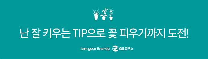 ‘난 키우기’ 어렵지 않아요! 선물 받은 난 잘 키우는 TIP 8 ‘난 키우기’ 어렵지 않아요! 선물 받은 난 잘 키우는 TIP | ending1 2