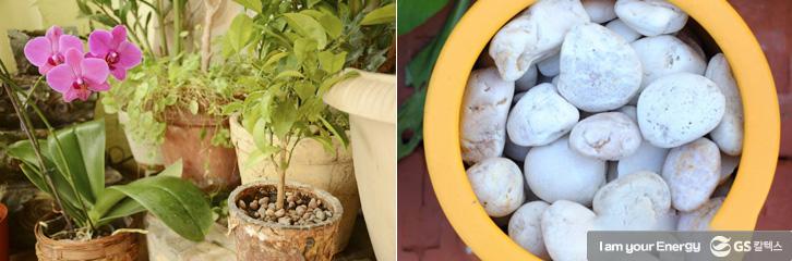 ‘난 키우기’ 어렵지 않아요! 선물 받은 난 잘 키우는 TIP 2 ‘난 키우기’ 어렵지 않아요! 선물 받은 난 잘 키우는 TIP | life energy tips for orchids 난 키우는 법 01