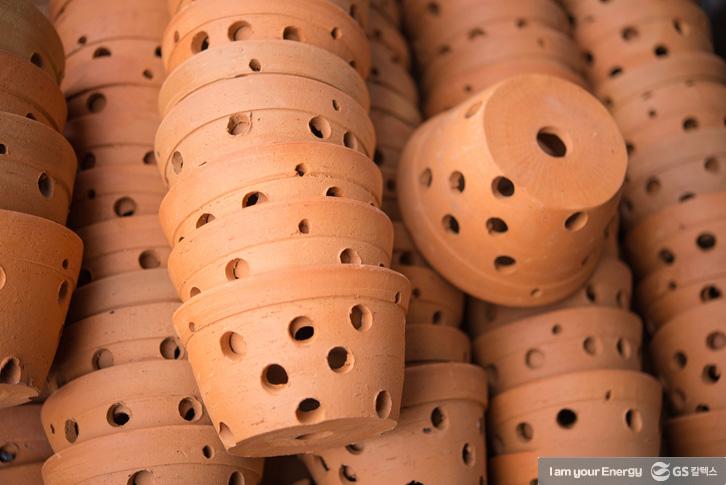 ‘난 키우기’ 어렵지 않아요! 선물 받은 난 잘 키우는 TIP 4 ‘난 키우기’ 어렵지 않아요! 선물 받은 난 잘 키우는 TIP | life energy tips for orchids 난 키우는 법 03