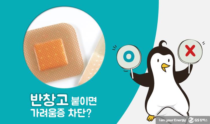 모기에 물렸을 때 올바른 대처법 5 모기에 물렸을 때 올바른 대처법 | mosquito 03 1 1