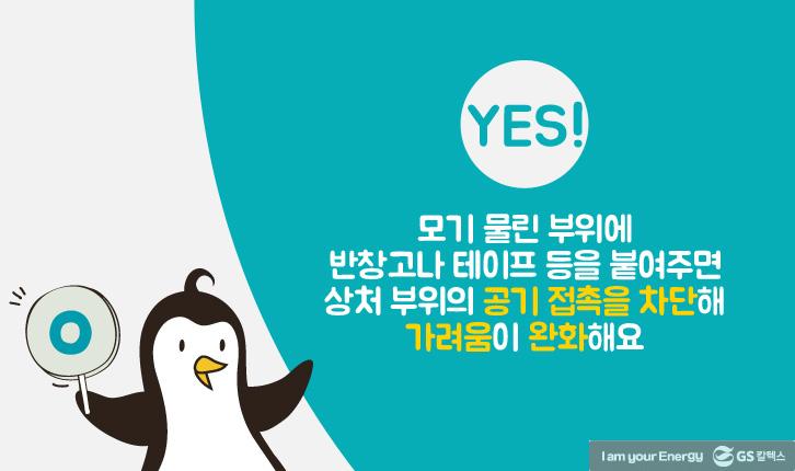 모기에 물렸을 때 올바른 대처법 6 모기에 물렸을 때 올바른 대처법 | mosquito 04 1 1