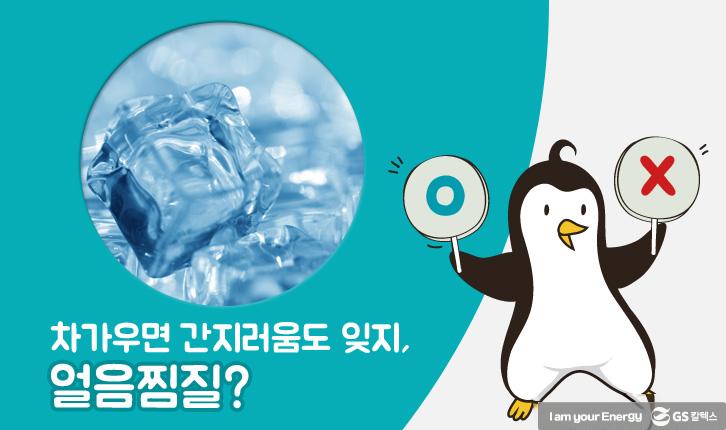 모기에 물렸을 때 올바른 대처법 9 모기에 물렸을 때 올바른 대처법 | mosquito 07 1 1