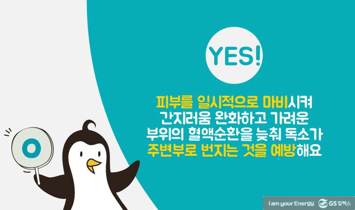 모기에 물렸을 때 올바른 대처법 10 모기에 물렸을 때 올바른 대처법 | mosquito 08 1 1