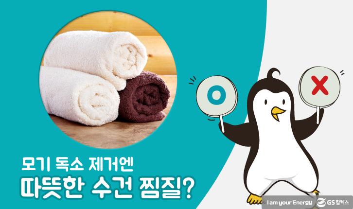 모기에 물렸을 때 올바른 대처법 11 모기에 물렸을 때 올바른 대처법 | mosquito 09 1 1