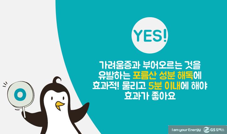 모기에 물렸을 때 올바른 대처법 12 모기에 물렸을 때 올바른 대처법 | mosquito 10 1 1