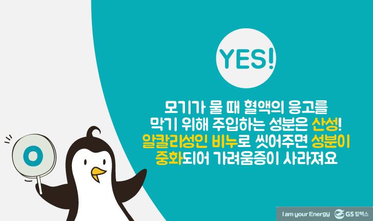 모기에 물렸을 때 올바른 대처법 14 모기에 물렸을 때 올바른 대처법 | mosquito 12 1 1