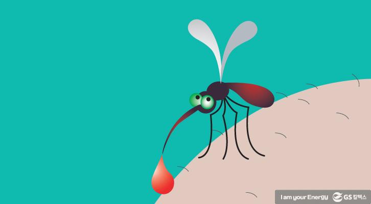 모기에 물렸을 때 올바른 대처법 1 모기 물렸을때 대처법
