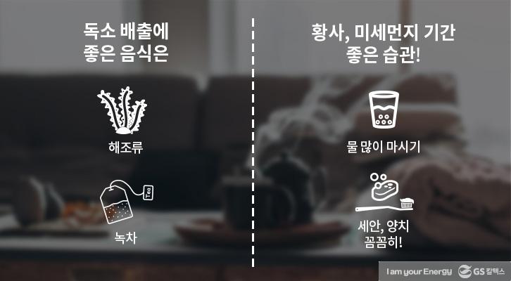 닮은 듯 다른 황사와 미세먼지, 그 차이는 무엇일까? 6 닮은 듯 다른 황사와 미세먼지, 그 차이는 무엇일까? | GSC BP MH 20170227 7 1