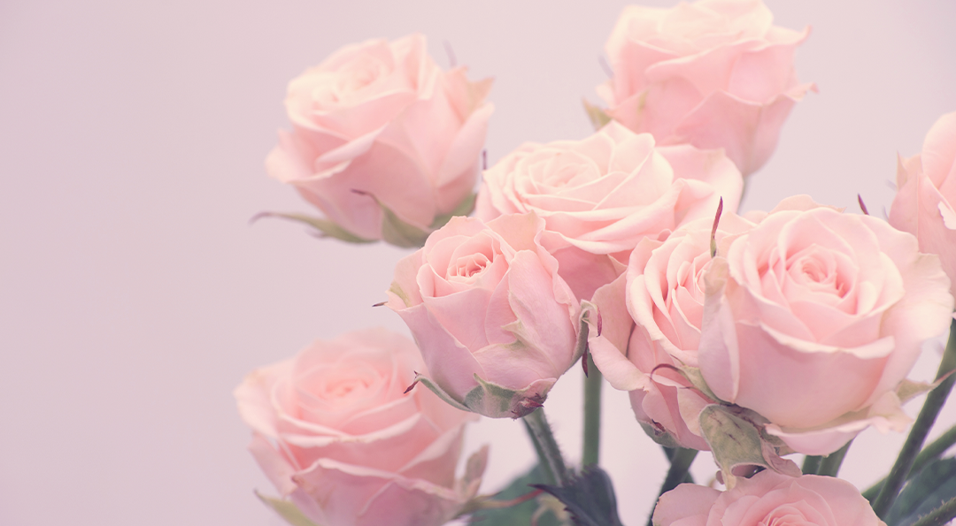 [생활 속 에너지] 로즈데이 장미 색깔 별 꽃말 | GSC MH the languaage of flowers rose color 20190514 02 1