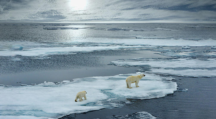 기후변화, 이제는 막아야 할 때_2. 지구의 복수? 기후변화가 인류에게 미치는 영향 2 기후변화, 이제는 막아야 할 때_2. 지구의 복수? 기후변화가 인류에게 미치는 영향 | GSC BS MH esg impact of climate change 200428 2 1