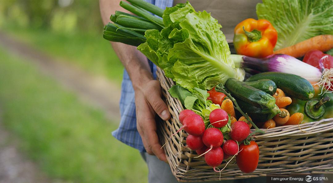 나의 소비를 초록으로! 그린슈머(Greensumer) 4 나의 소비를 초록으로! 그린슈머(Greensumer)