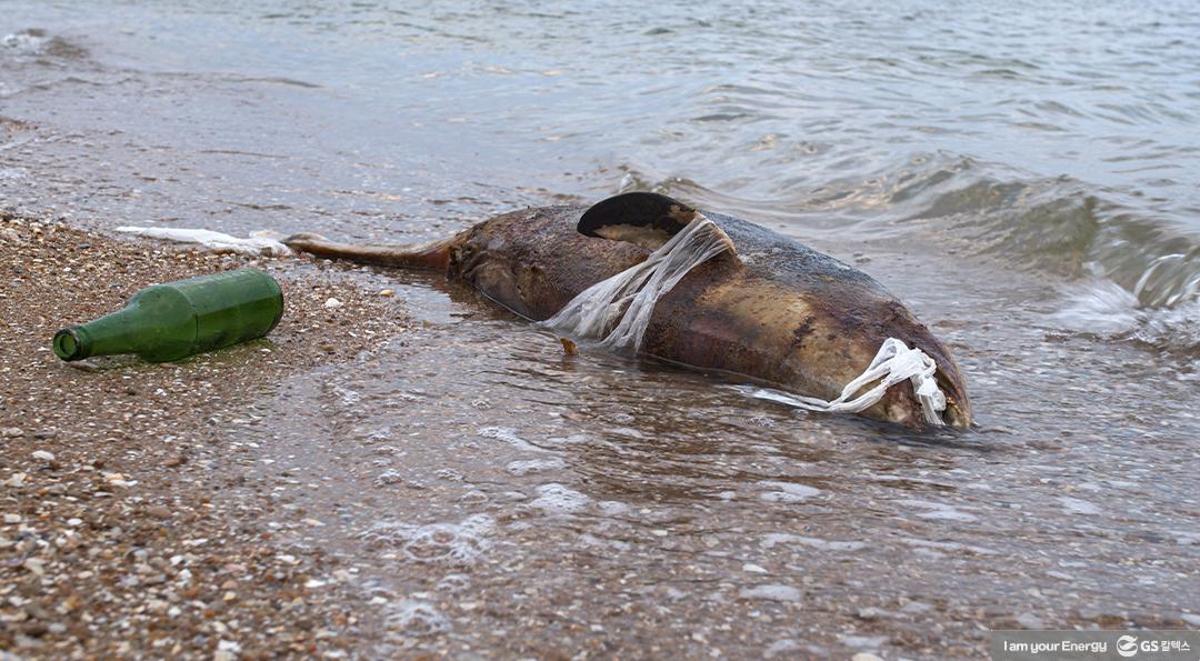 일상 속 일회용품을 줄이는 습관 1 일상 속 일회용품을 줄이는 습관 | GSC BP MH Reducing Disposable Goods 20200713 3 1