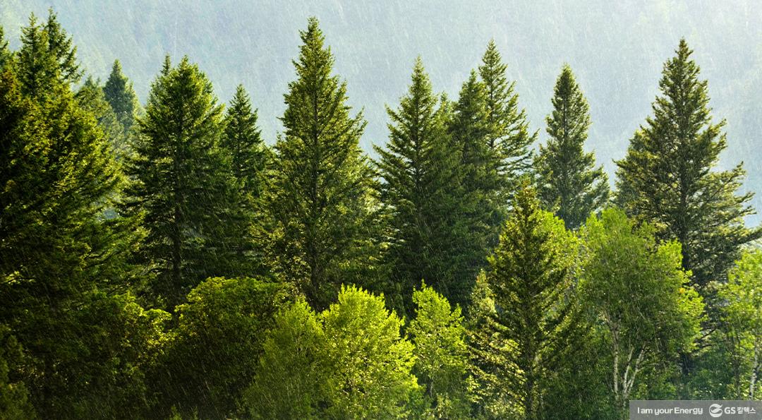 환경을 살리는 폐플라스틱 재활용 기술 5 환경을 살리는 폐플라스틱 재활용 기술 | GSC BS MH recyclingtechnology 20200710 2 1