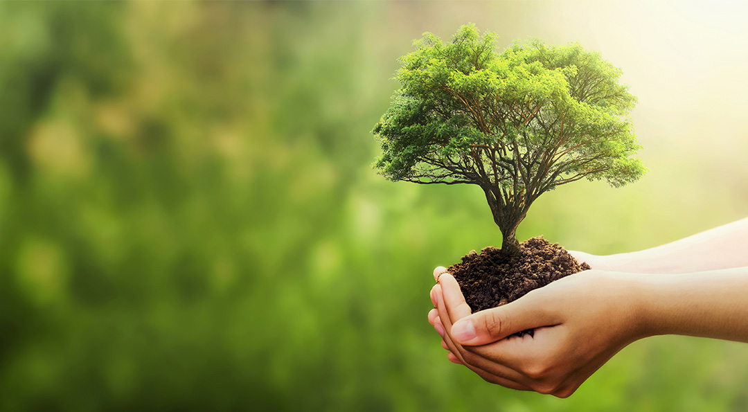 전자레인지 사용 가능한 플라스틱, 환경호르몬으로부터 안전할까? 5 전자레인지 사용 가능한 플라스틱, 환경호르몬으로부터 안전할까? | 20201209 01 05