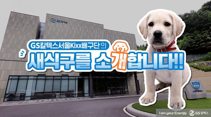 GS칼텍스의 2020년을 회고하다 5 GS칼텍스의 2020년을 회고하다 | magazine volleyball mascot dog thumb2