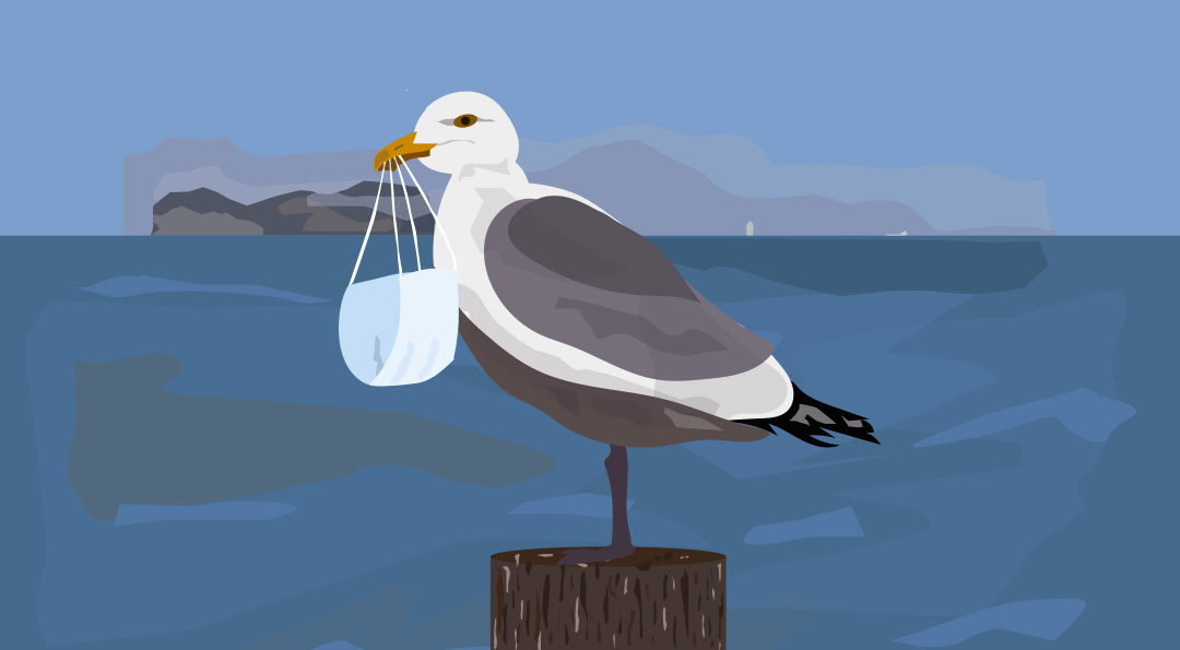 코로나19 시대의 필수품 마스크, 야생동물에겐 위협이 된다고? 3 코로나19 시대의 필수품 마스크, 야생동물에겐 위협이 된다고? | 20210120 02 03