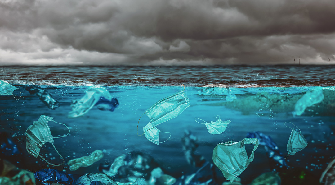 코로나19 시대의 필수품 마스크, 야생동물에겐 위협이 된다고? 5 코로나19 시대의 필수품 마스크, 야생동물에겐 위협이 된다고? | 20210120 02 05