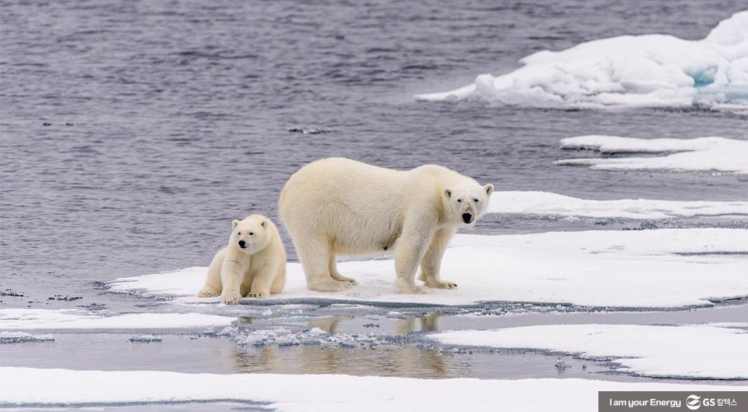 '미국이 돌아왔다’ 바이든 시대의 개막, 파리기후변화협약 복귀 그리고 기후변화 4 '미국이 돌아왔다’ 바이든 시대의 개막, 파리기후변화협약 복귀 그리고 기후변화 | 20210122 01 04