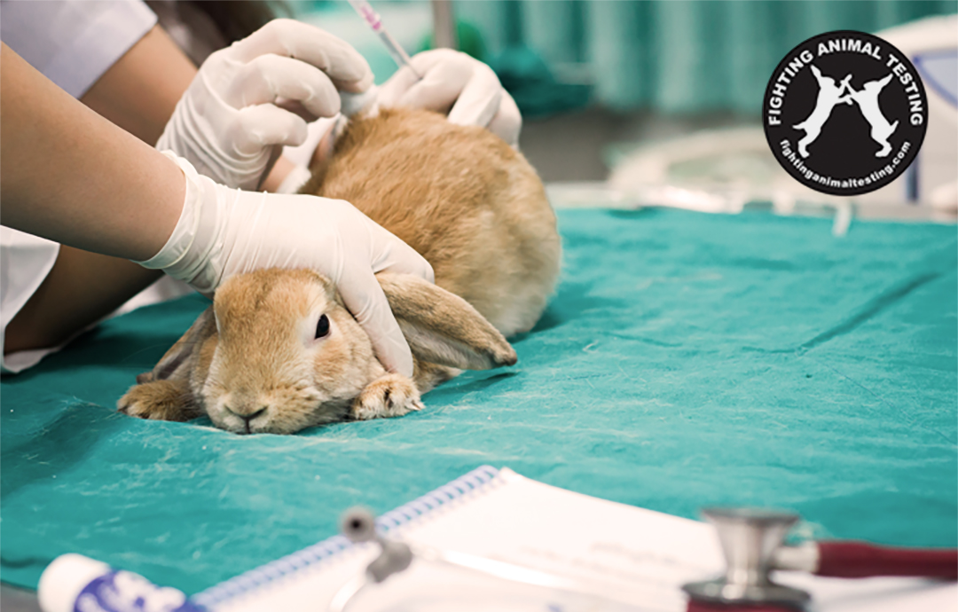 알쏭달쏭 필환경, 꼭! 알아야 할 키워드 4 알쏭달쏭 필환경, 꼭! 알아야 할 키워드 | think green keywords 04 1