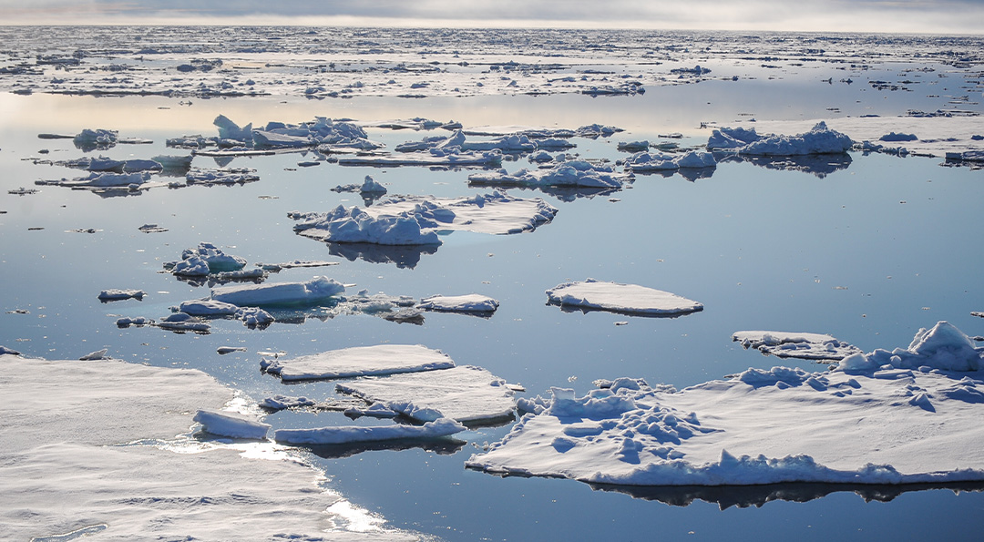 글꼴도 점점 사라진다? 기후 위기 심각성을 알리는 무료 폰트 ‘Climate Crisis’ 2 글꼴도 점점 사라진다? 기후 위기 심각성을 알리는 무료 폰트 ‘Climate Crisis’ | 20210414 01 02