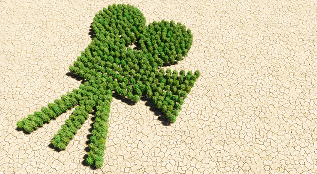 집콕 생활! 주말에 집에서 보기 좋은 환경 영화 추천 1 집콕 생활! 주말에 집에서 보기 좋은 환경 영화 추천