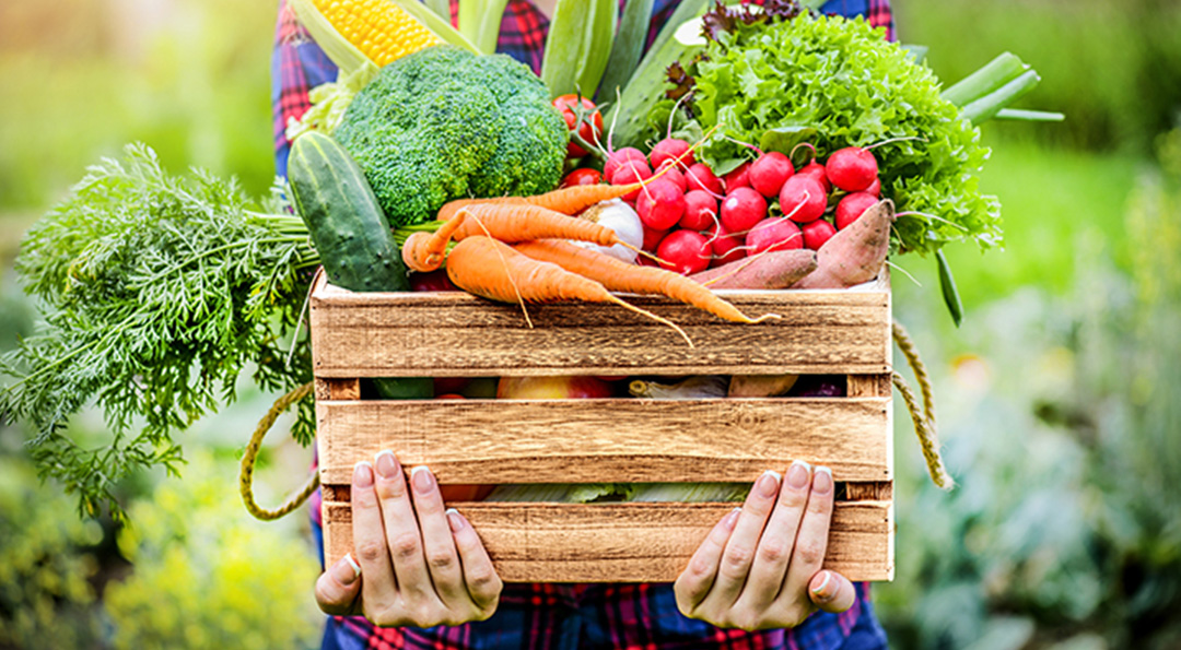 업사이클링으로 ‘버려진 것’들의 무한한 변신! 식자재부터 패션, 생활용품, 폐현수막까지! 2 버려진 식자재도 다시 태어난다