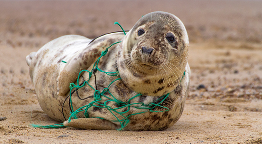 요즘 대세는 바다 지킴이! 기업들이 해양쓰레기를 업사이클링하는 방법 4 폐어망 업사이클링으로 숨 쉬는 바다를 만드는 ‘넷스파(NETSPA)’