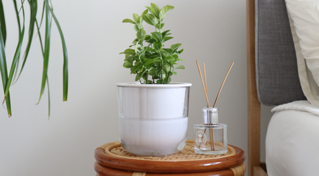 요즘 대세는 바다 지킴이! 기업들이 해양쓰레기를 업사이클링하는 방법 12 요즘 대세는 바다 지킴이! 기업들이 해양쓰레기를 업사이클링하는 방법 | 20210909 01 11