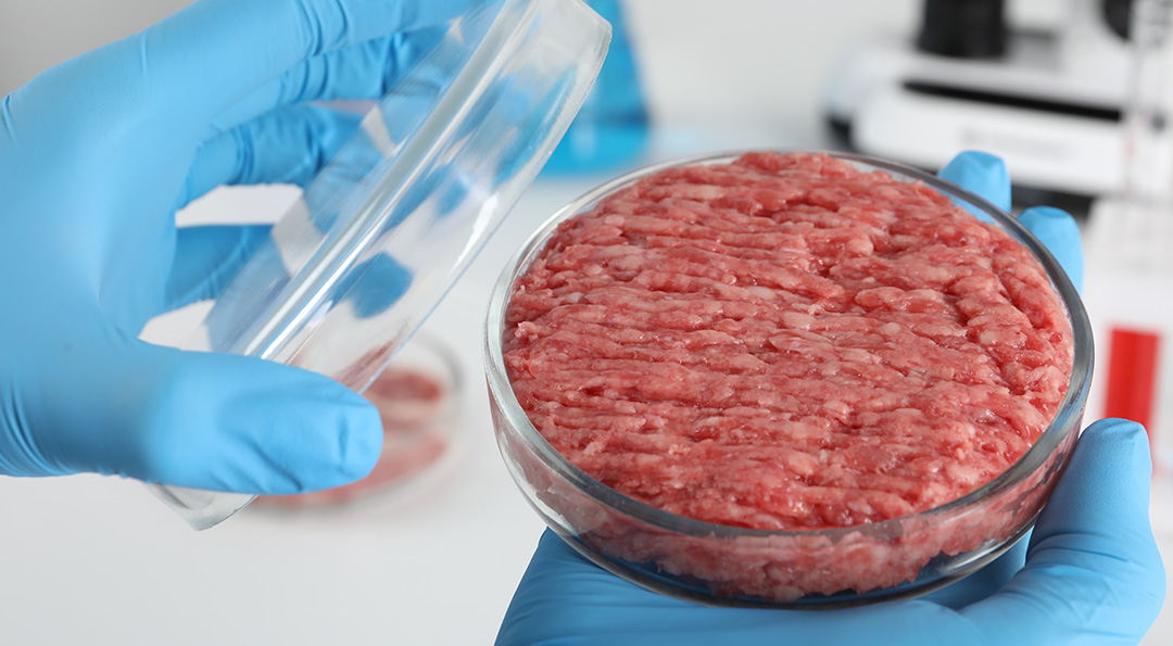 3D프린터로 음식을 만든다? 식물처럼 배양하는 실험실 고기까지! 미래 먹거리 이야기 5 3D프린터로 음식을 만든다? 식물처럼 배양하는 실험실 고기까지! 미래 먹거리 이야기 | 20210914 01 04