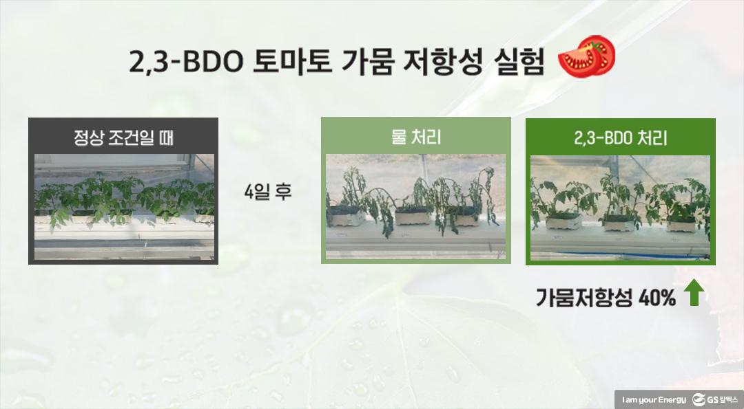 자연에서 찾은 친환경 화장품 원료 2,3-부탄다이올(BDO) 3 자연에서 찾은 친환경 화장품 원료 2,3-부탄다이올(BDO) | 20210315 01 02 720x397 1
