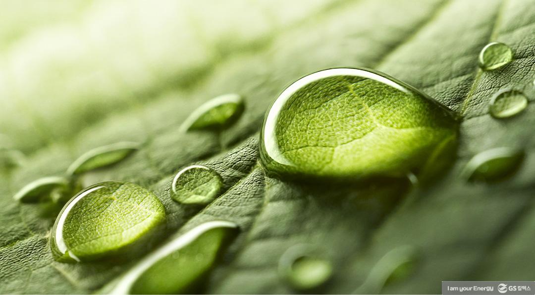 과학의 날 장영실상의 주인공! GS칼텍스 ‘2,3-부탄다이올(2,3-BDO)’ 3 과학의 날 장영실상의 주인공! GS칼텍스 ‘2,3-부탄다이올(2,3-BDO)’ | 20210421 01 03 720x397 1