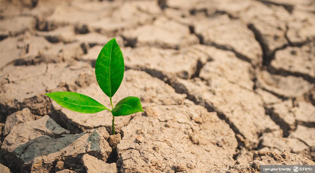 과학의 날 장영실상의 주인공! GS칼텍스 ‘2,3-부탄다이올(2,3-BDO)’ 4 과학의 날 장영실상의 주인공! GS칼텍스 ‘2,3-부탄다이올(2,3-BDO)’ | 20210421 01 04 720x397 1