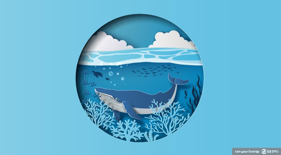 [환경상식] 바다의 수호신, 기후위기를 막는 고래의 비밀 | 20220117 01 03
