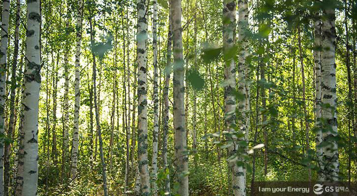 종이 한 장이 가볍지 않다고? 일상 속 종이 절약법 3 종이 한 장이 가볍지 않다고? 일상 속 종이 절약법 | GSC BP MH Save paper Tips 20200807 3