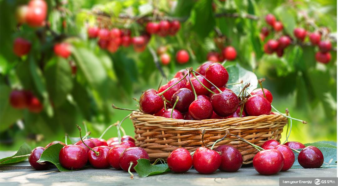 평균 실종 시대의 새로운 소비 트렌드 2 평균 실종 시대의 새로운 소비 트렌드 | gsc 트렌드코리아2023 1