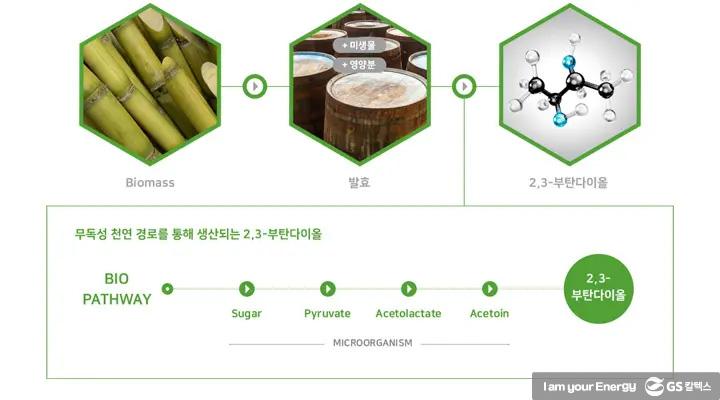 자연에서 찾은 답, GS칼텍스 2,3-부탄다이올(2,3-BDO) 장영실상 수상 2 자연에서 찾은 답, GS칼텍스 2,3-부탄다이올(2,3-BDO) 장영실상 수상 | magazine 2020 ir52 awards 02