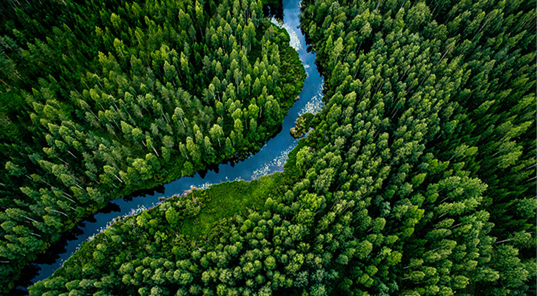 금융도 친환경을 좋아해(feat. 녹색분류체계) 4 금융도 친환경을 좋아해(feat. 녹색분류체계) | 20211110 01 04