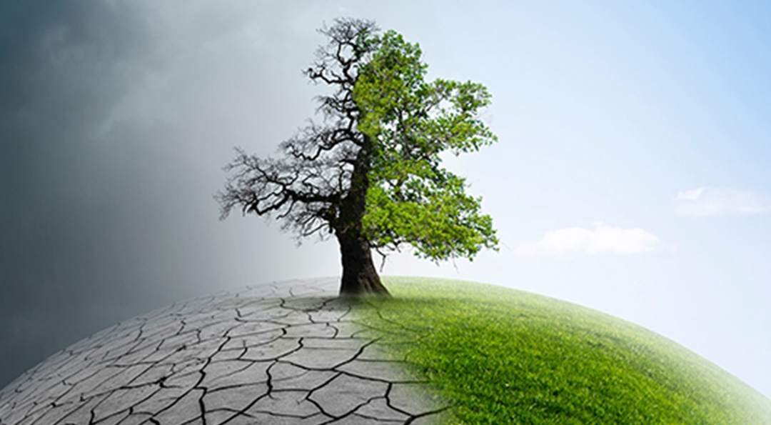 COP26의 성과와 석유산업 영향 1 COP26의 성과와 석유산업 영향 | 20211206 02 01