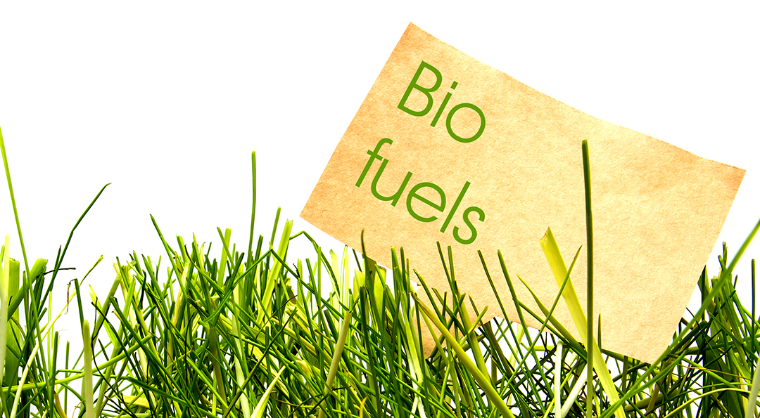 탄소 중립을 향한 GS칼텍스의 새로운 여정, '그린 트랜스포메이션(GX)' 4 탄소 중립을 향한 GS칼텍스의 새로운 여정, '그린 트랜스포메이션(GX)' | 20230327 02 03