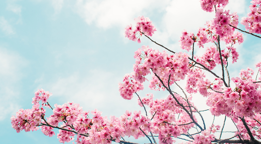 GS칼텍스 이메일 비우기 캠페인 “우리 모두 메일함 비우새!” 1 GS칼텍스 이메일 비우기 캠페인 “우리 모두 메일함 비우새!” | 20230417 02 01