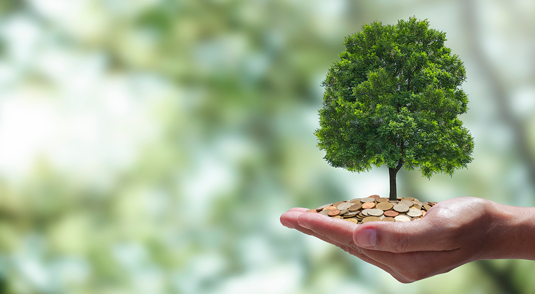 “잠자는 동전을 깨우자!” 2 “잠자는 동전을 깨우자!” | 20230427 01 02