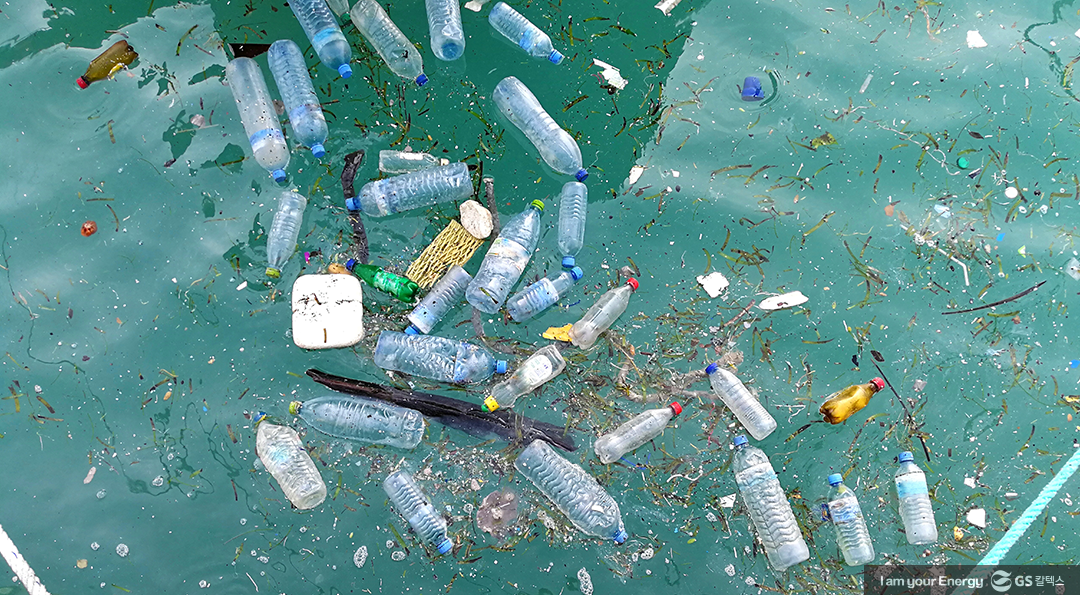 바다의 날, 우리 모두 함께 지키는 소중한 바다 3 바다의 날, 우리 모두 함께 지키는 소중한 바다 | the day of ocean 2023 2