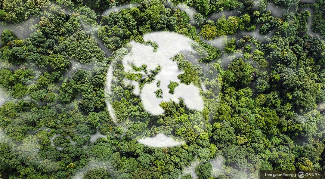 지구를 푸르게 만드는 "하루 한끼", GS칼텍스의 사내 채식 캠페인 2 지구를 푸르게 만드는 "하루 한 끼", GS칼텍스의 사내 채식 캠페인