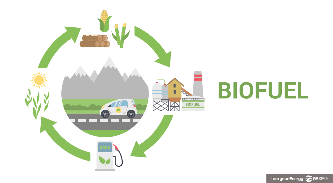 바다 위의 탄소 감축을 위한 해결사, 바이오선박유(Bio Marine Fuel) 3 재생에너지의 새로운 미래, 바이오선박유(Bio Marine Fuel)