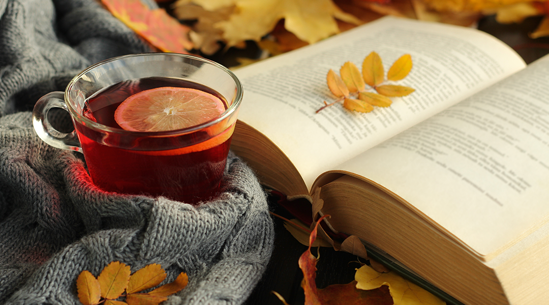 독서의 계절, 가을에 방문하기 좋은 국내 이색 도서관 BEST 5