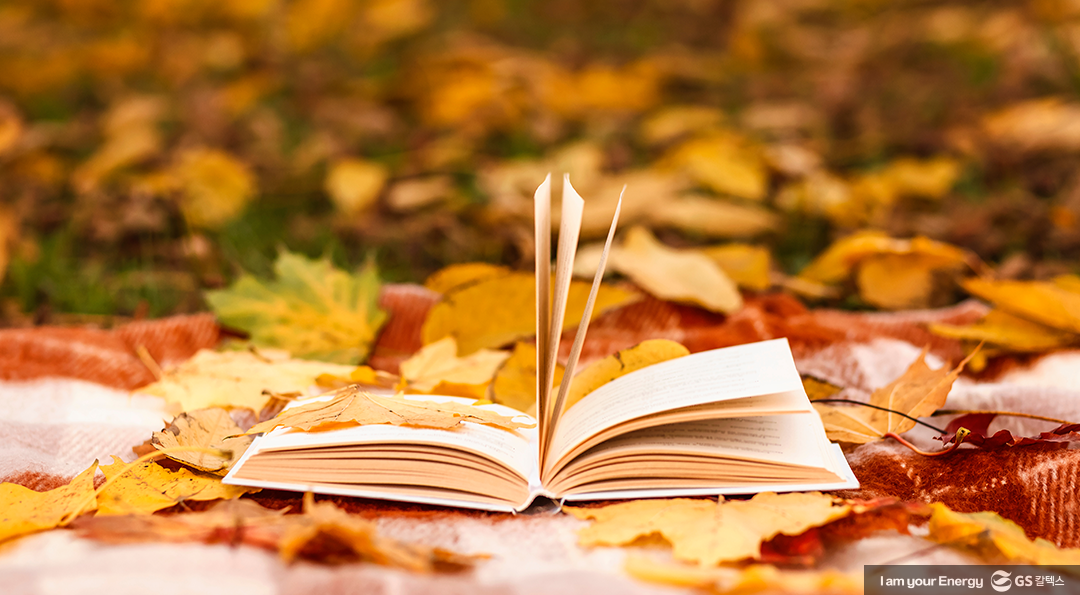 독서의 계절, 가을에 방문하기 좋은 국내 이색 도서관 BEST 5 6 독서의 계절, 가을에 방문하기 좋은 국내 이색 도서관 BEST 5 | unique library for autumn 06